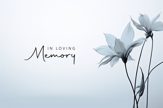 James Morton Massachusetts Obituary, Death James Morton Has Died